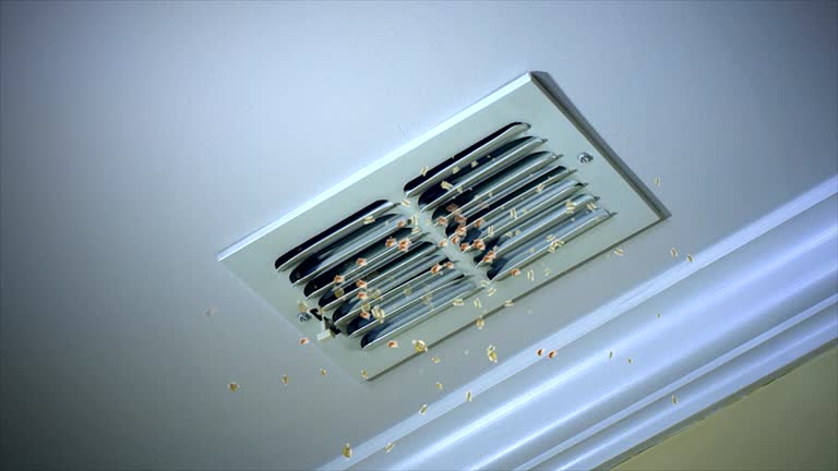 Best Affordable Duct Cleaning Services  in Ogden Dunes, IN