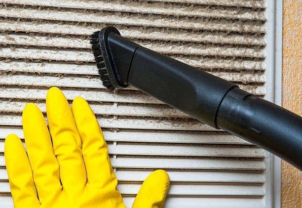 Best Commercial Air Duct Cleaning  in Ogden Dunes, IN